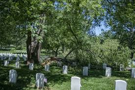 Located just outside of washington, d.c., it is the. Dvids Images Arlington National Cemetery Immediately Begins Clean Up Following Damaging Storm During Annual Flags In Event Image 9 Of 18