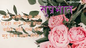 Good morning images with flowers in hindi. Good Morning Shayari With Beautiful Images Srgpic
