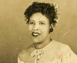 The Warmth of Other Suns