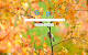 Windows 7 Google Desktop