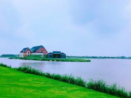 Holland sea of flowers in yancheng city. Yancheng Dutch Flower Sea Minnews