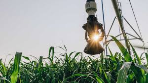 Critical security gaps put your farm's future at risk