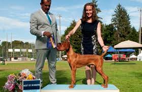 Check spelling or type a new query. Companion Pet Clinic 3068 Lancaster Dr Ne Salem Or 97305 Yp Com