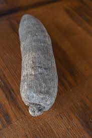 Image result for Dioscorea cayenensis