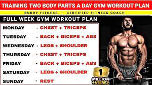 Two Body Parts A Day Workout Plan | Gym Workout | Two Body Parts Workout  Schedule - Youtube