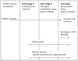 Beltronics vector series radar detector comparison (995 vs 955 vs 940). Sensors Free Full Text Active And Passive Electro Optical Sensors For Health Assessment In Food Crops Html