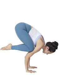 Bakasana Crow Pose Home Yoga Practice Core Yoga Poses Yoga Practice