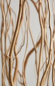 Birch Branches For Sale Branches Natural Tree Branch Wedding Decor Branches Wedding Decor Fairy Lights In Trees