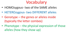 Check spelling or type a new query. You Need Clean Paper 2 Pencil Bikini Bottom Codominance Vs Ppt Download