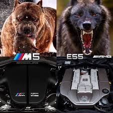 Pin By Ashten On Avtomobili Bmw Amg Car Sports Cars Luxury
