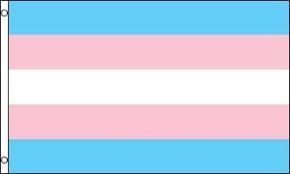 Display it in your house and share. Az Flag Flagge Regenbogen Transgender 90x60cm Intersexuelle Fahne 60 X 90 Cm Flaggen Top Qualitat Amazon De Garten