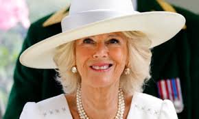 Camilla reveals struggles with media attention