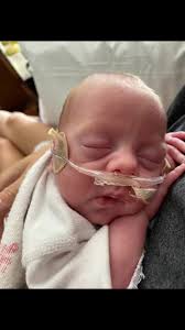 Hunter Wayne Carroll