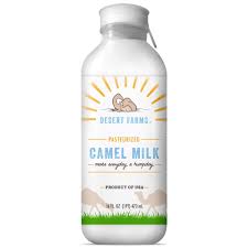 Freshly milked, unpasteurized milk has the most health benefits; Organic Fresh Frozen Camel Milk Fresh Flavor With Health Benefits Raw Natural Grade A Gently Pasteurized From Healthy Camels In Midwest Made In The Usa 6 Pack