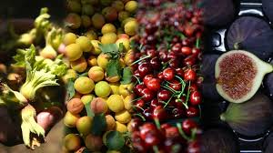 We would like to show you a description here but the site won't allow us. Turkey World S Largest Hazelnut Cherry Fig Apricot Quince Poppy Producer