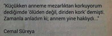 Cemal Sureya Guzel Soz Ozlu Sozler Kitap