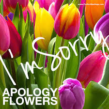 Feed your creative mind by reading our interesting articles posted daily by our readers from a wide range of different subjects. Saying Sorry Best Apology Flowers Gift Baskets