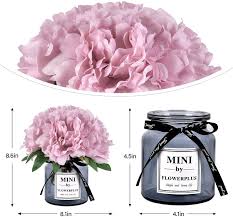Check spelling or type a new query. Buy Martine Mall Artificial Peony Flowers With Vase Faux Peony Flowers Fake Flowers Arrangements For Home Decor Online In Vietnam B081cgzy3k