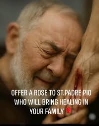 OFFER A ROSE TO ST.PADRE PIO WHO WILL BRING HEALING IN YOUR FAMILY