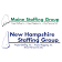 Maine Staffing Group logo