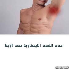 مقال عدد الغدد الليمفاوية تحت الإبط امراض الغدد الصماء