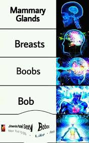 Pin By Yash On Memes Funny Memes Gamer Humor Brain Meme