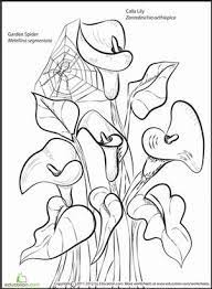 Pot leaf coloring pages printable. Pin On Watercolor Flowers