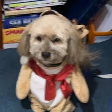 Donate to World Vision Australia