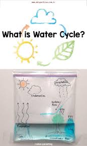 Wasserkreislauf In Einer Tasche Wissenschaftsexperimente Fur Kinder Wissenschaftliche Experimente Fur Kinder Wasserkreislauf