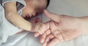 Image result for pro life