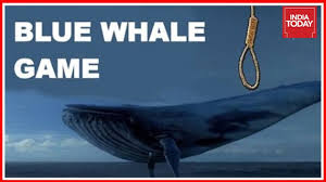 The challenge was alleged to be linked to numerous deaths around the world. Pondicherry University Student Falls Prey To Blue Whale Game Youtube