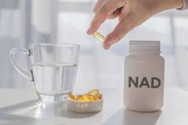 Best NAD+ Boosters - Top Nicotinamide Riboside Supplements Review |  HeraldNet.com