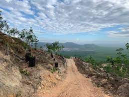 Bukit tok alang is an excavated terrain in tasek gelugor, seberang perai utara. Bukit Tok Dun Hike Pokok Kelapa