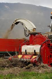 The brand new mannequin, designed on the idea of the seppi s9 mulchers sequence, is among the largest hammer mulchers compliant with the street transport code available on the market. Eima International 2021 Bologna Italien