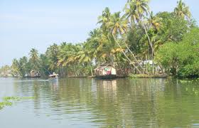 Agriculture research centres in kerala. Kuttanad Wikipedia