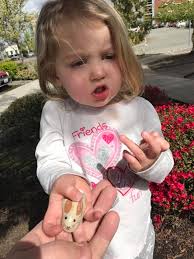 Best places to find rocks with toddlers