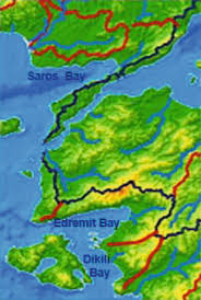 Image result for Green Izmir 1995 Fleet