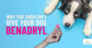 The dosage on how many benadryl can you give to your dog should be always followed by a veterinarian. Benadryl Not As Safe For Dogs As You Think Dogs Naturally