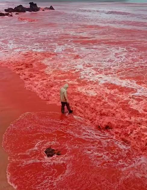 Freaky 'blood rain' phenomenon turns tides and beach red
