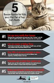 Because both of these animals mature at a faster rate than though the common perspective on cat years and human years is trying to figure out how old our cats are in human years, that conversion. Take Your Cat To The Vet Day The Purrington Post