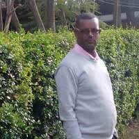 Image result for Loxogramme abyssinica