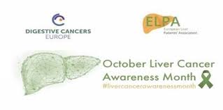 The liver also produces bile that helps in the digestion of fats and stores sugar that our bodies use for energy. Elpa And Dice Meeting On Liver Cancer Together We Are Even Stronger