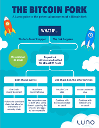 Bitcoin Fork Trading