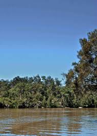 The georges river is the main tributary of botany bay; Georges River National Park Plan Of Management Nsw Environment Energy And Science