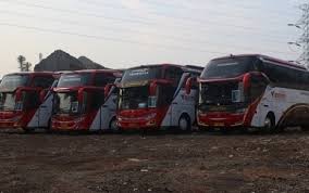 Tindakan sebahagian mereka yang meletakkan kenderaan di tepi jalan, telah. 4 Hal Yang Perlu Diperhatikan Ketika Rental Bus Pariwisata Untuk Anak Anak Berita Sembodo Rent A Car