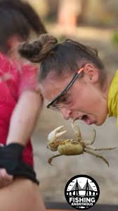 Where can you buy the crabs?