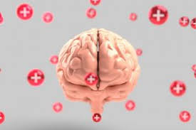 It is the first new treatment approved for alzheimer's since 2003 and is the first therapy that targets the. 5ratwvz9hr8oqm