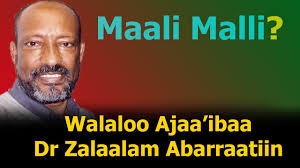 Follow zelalem abera by joining the largest community related to animal and agricultural production. Dr Zelalem Abera Walalloo Download Walaloo Afan Oromoo Mp4 Mp3 Walaloo Afaan Oromoo Dr Zelalem Abera Melodyhcy Images