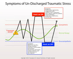 The Freeze Response Your Nervous Systems Response To Harsh