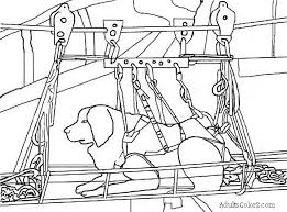 You can meet mike (animal id number a641696 ) at our shelter. Working Dogs Crucial Canines